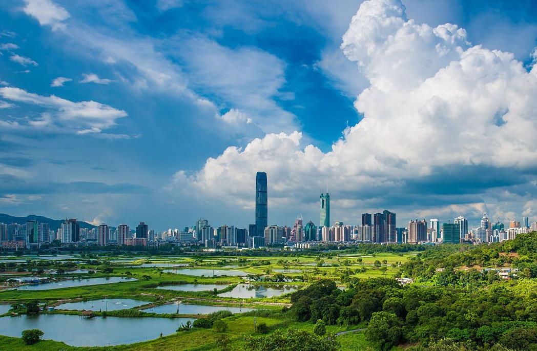 政策与信息化平台支持 深圳市现代物流业实力跃居龙头